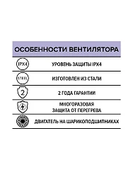 Вентилятор накладной STORM 250 2полюс ERA PRO